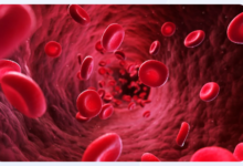 What Is a Drug Protein Binding Assay and Why Use It?