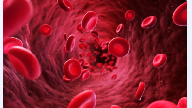 What Is a Drug Protein Binding Assay and Why Use It?