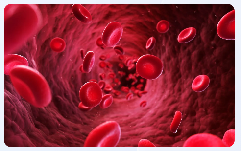 What Is a Drug Protein Binding Assay and Why Use It?