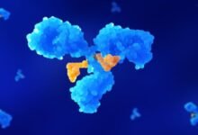 What Are ADC Services and Why Are They Crucial for Biotech?