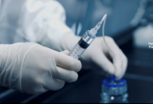 How Do In Vivo DMPK Studies Improve Drug Success?