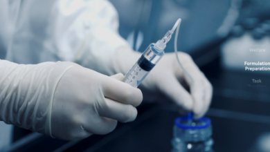 How Do In Vivo DMPK Studies Improve Drug Success?