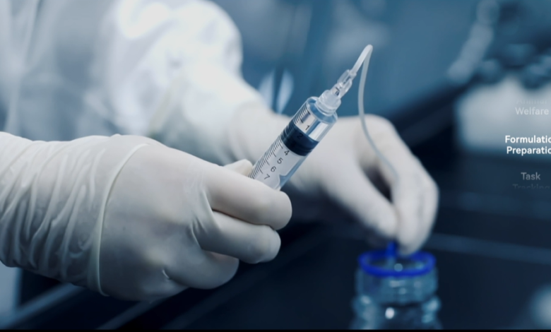 How Do In Vivo DMPK Studies Improve Drug Success?