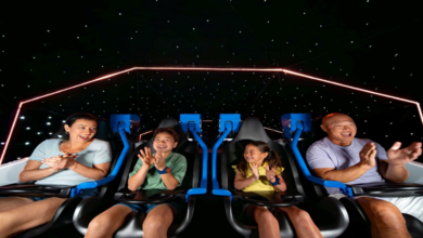 The 9 Best Travel Packages to Walt Disney World (2026)